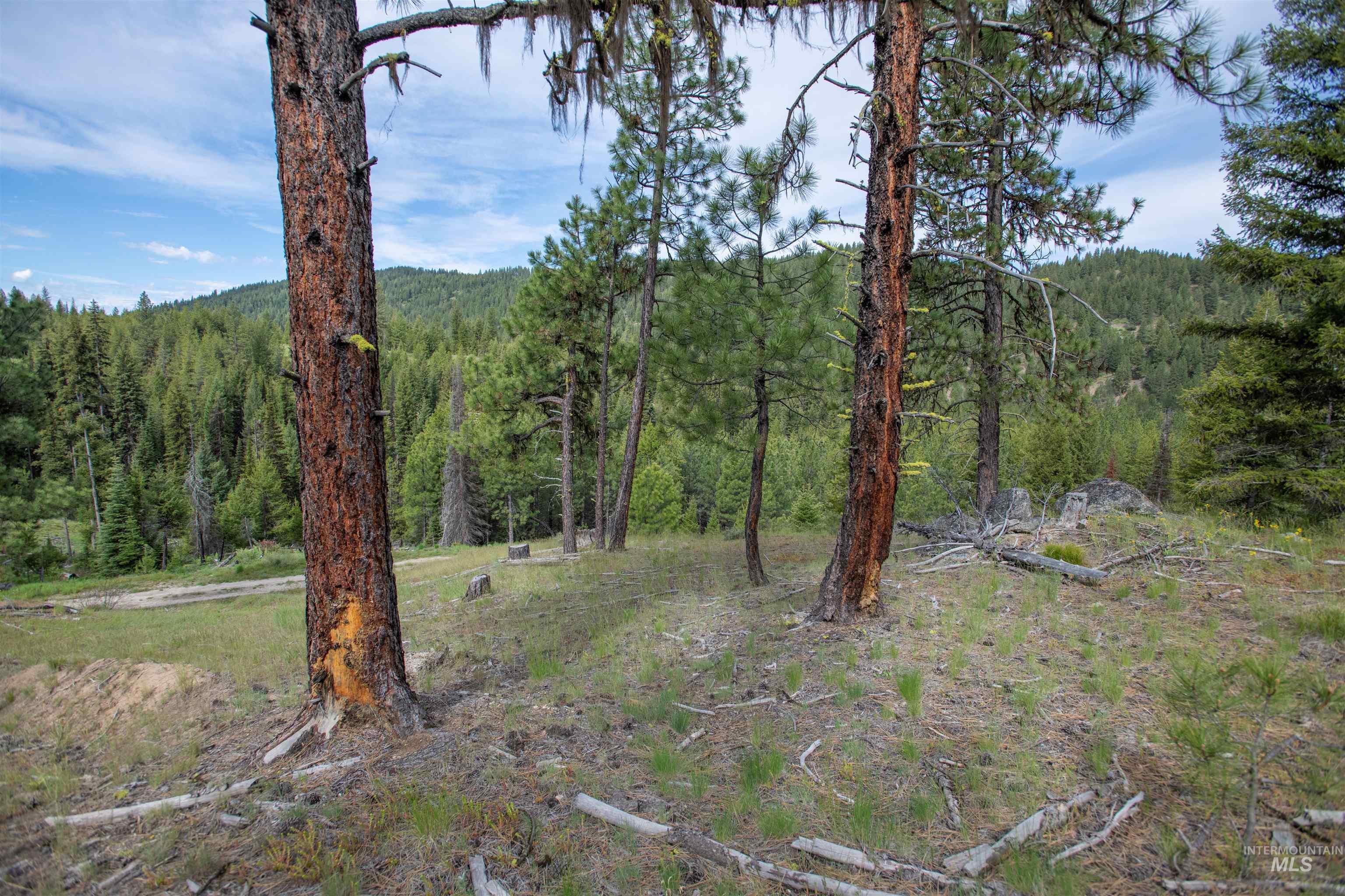 Tbd 34 Clear Creek Road Property Photo 9