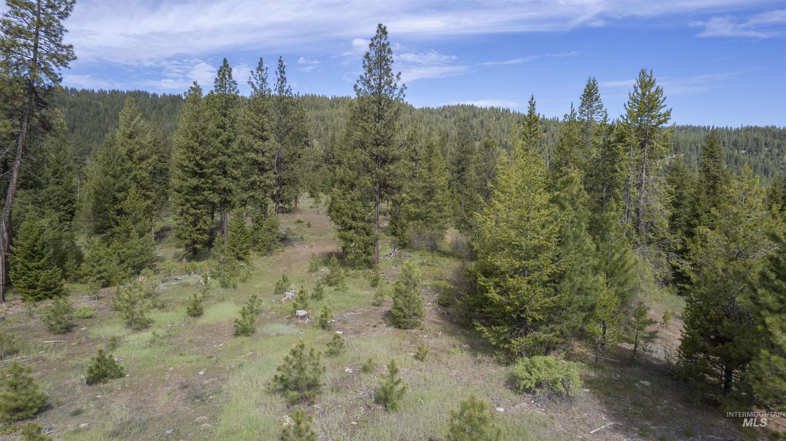 Tbd 34 Clear Creek Road Property Photo 10