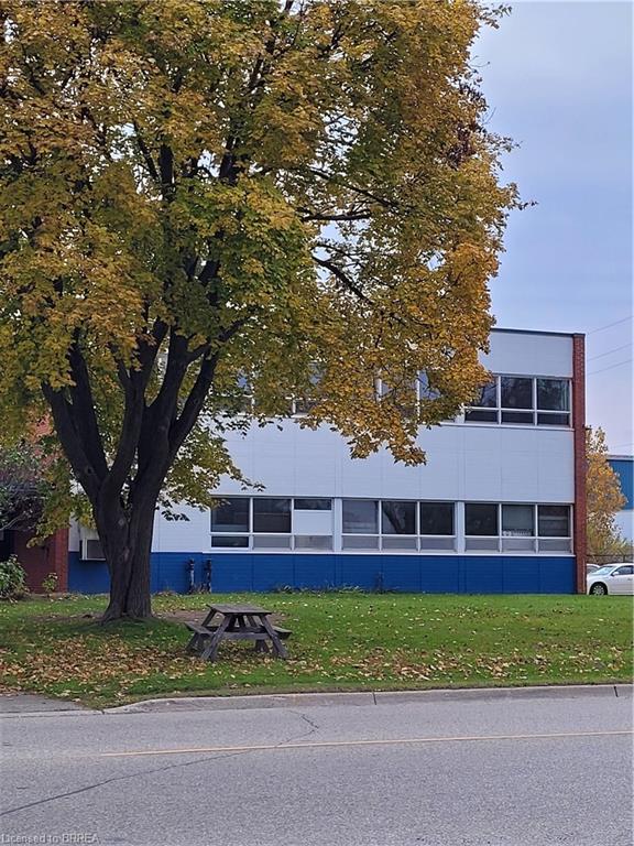 3-353 Elgin Street Property Photo