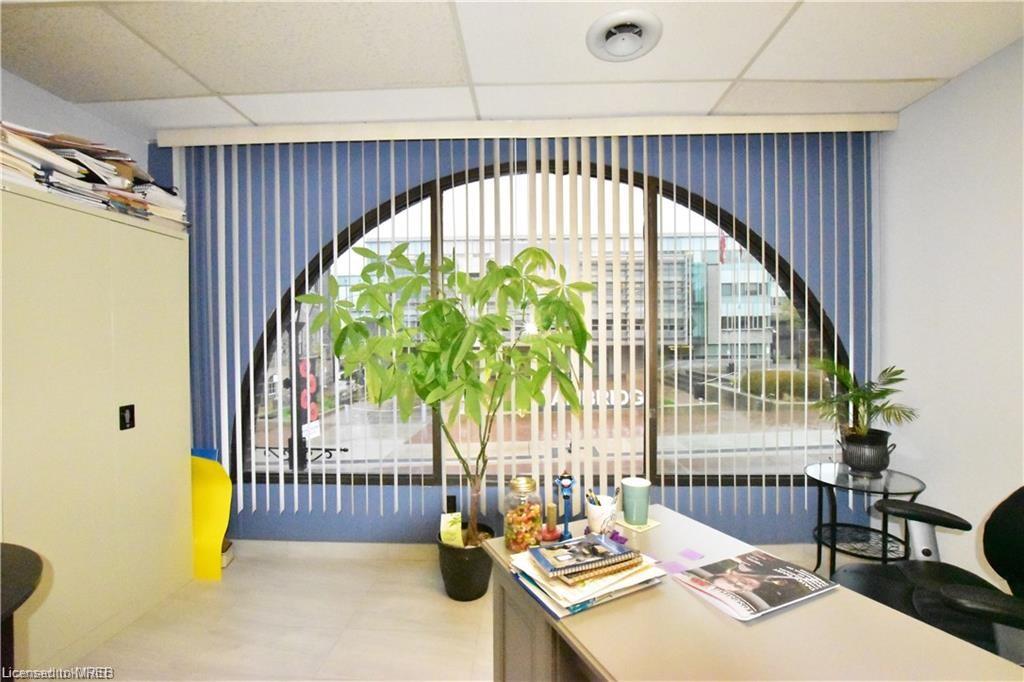 55 Dickson Street Property Photo 20