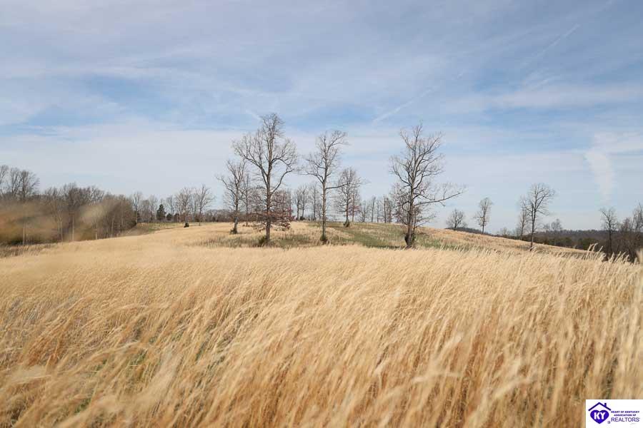 1800 Tract 2 E Millerstown Road Property Photo