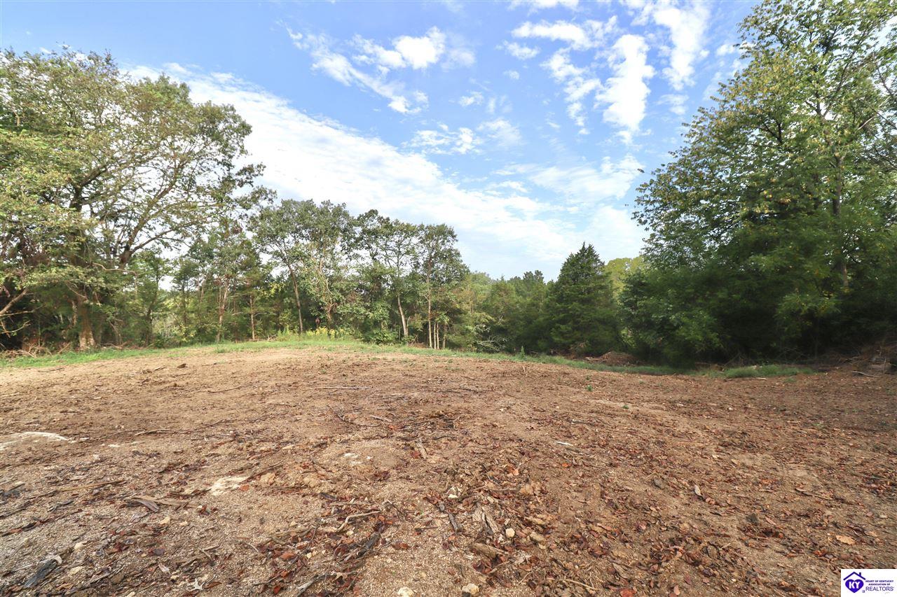 635 Blossom Ridge Dr Property Photo 65