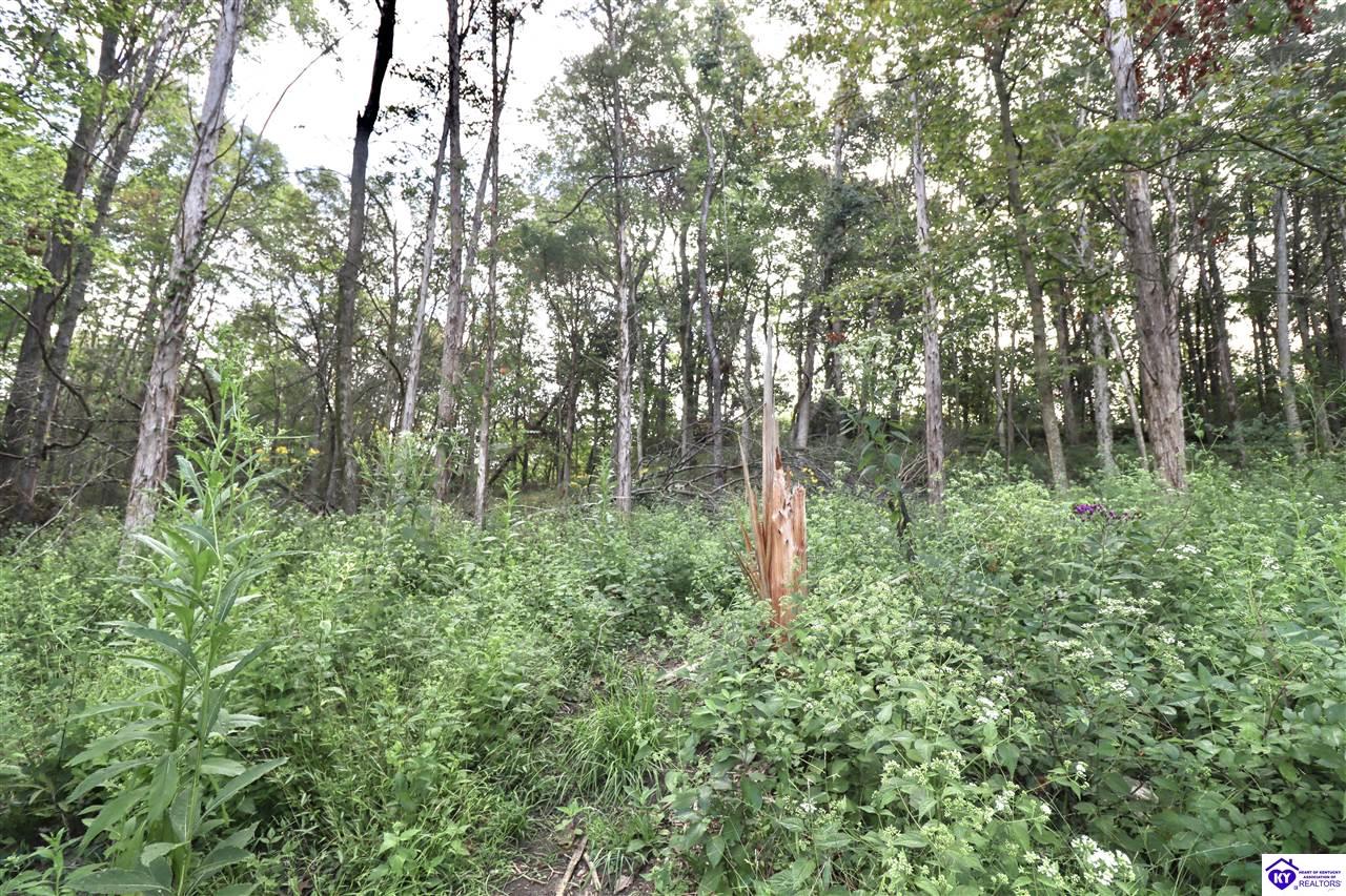 635 Blossom Ridge Dr Property Photo 71