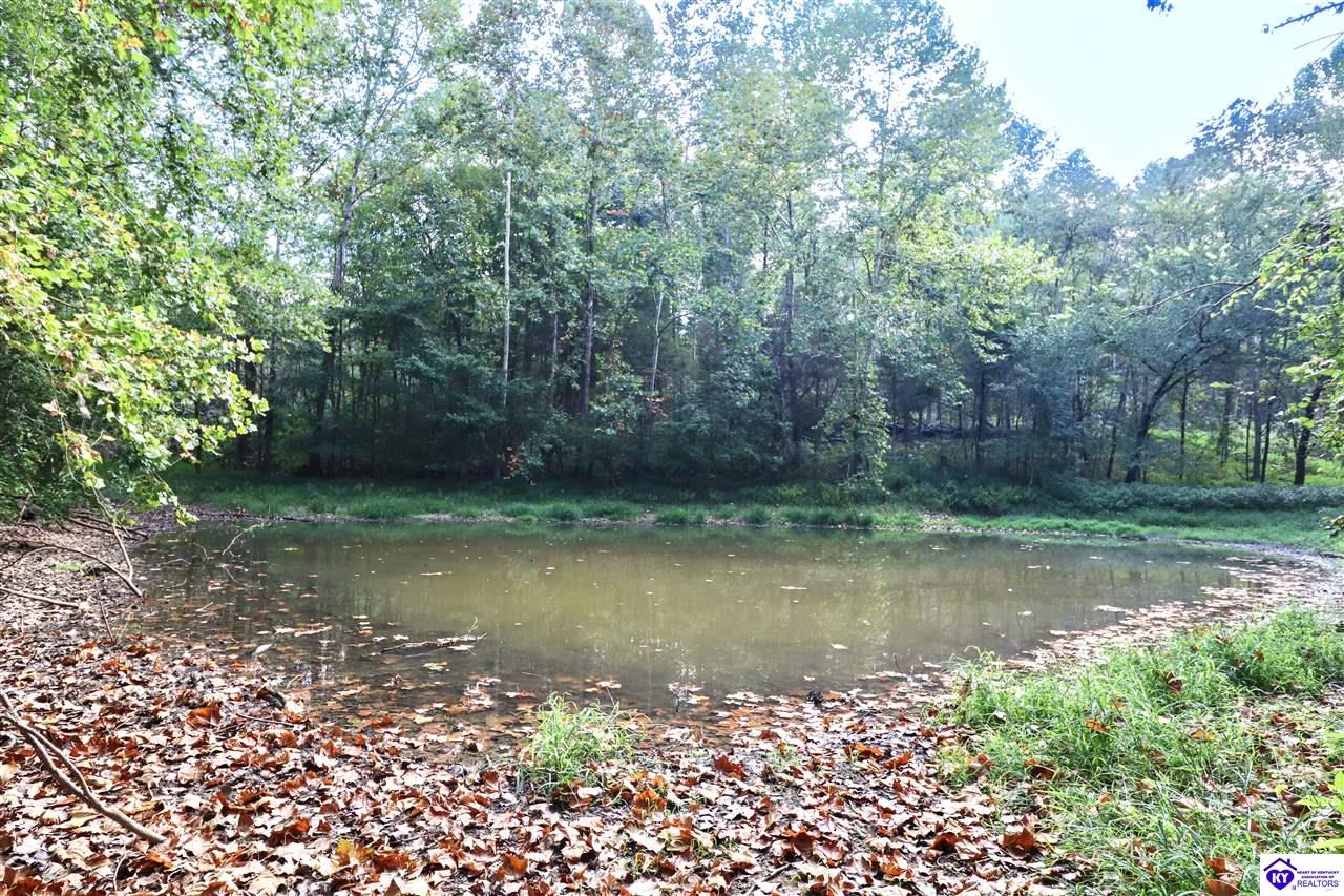 635 Blossom Ridge Dr Property Photo 73