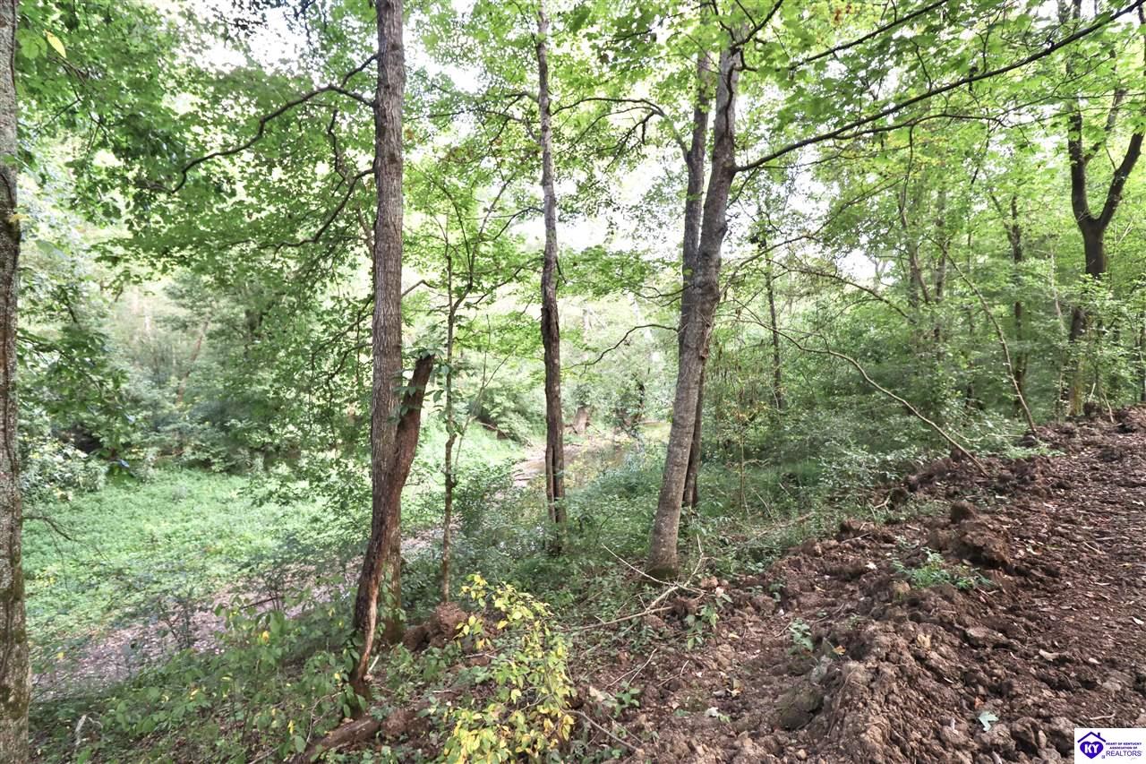 635 Blossom Ridge Dr Property Photo 78