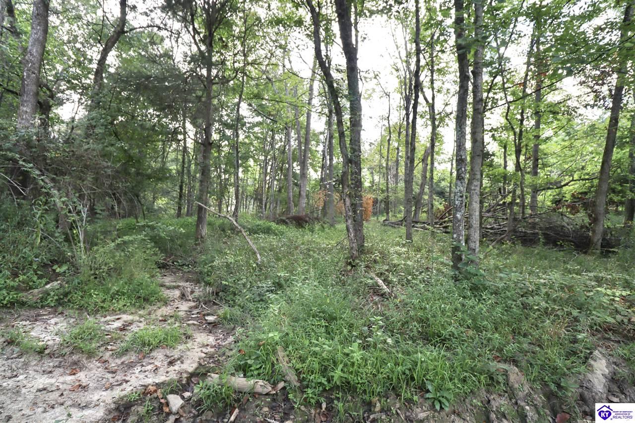 635 Blossom Ridge Dr Property Photo 82