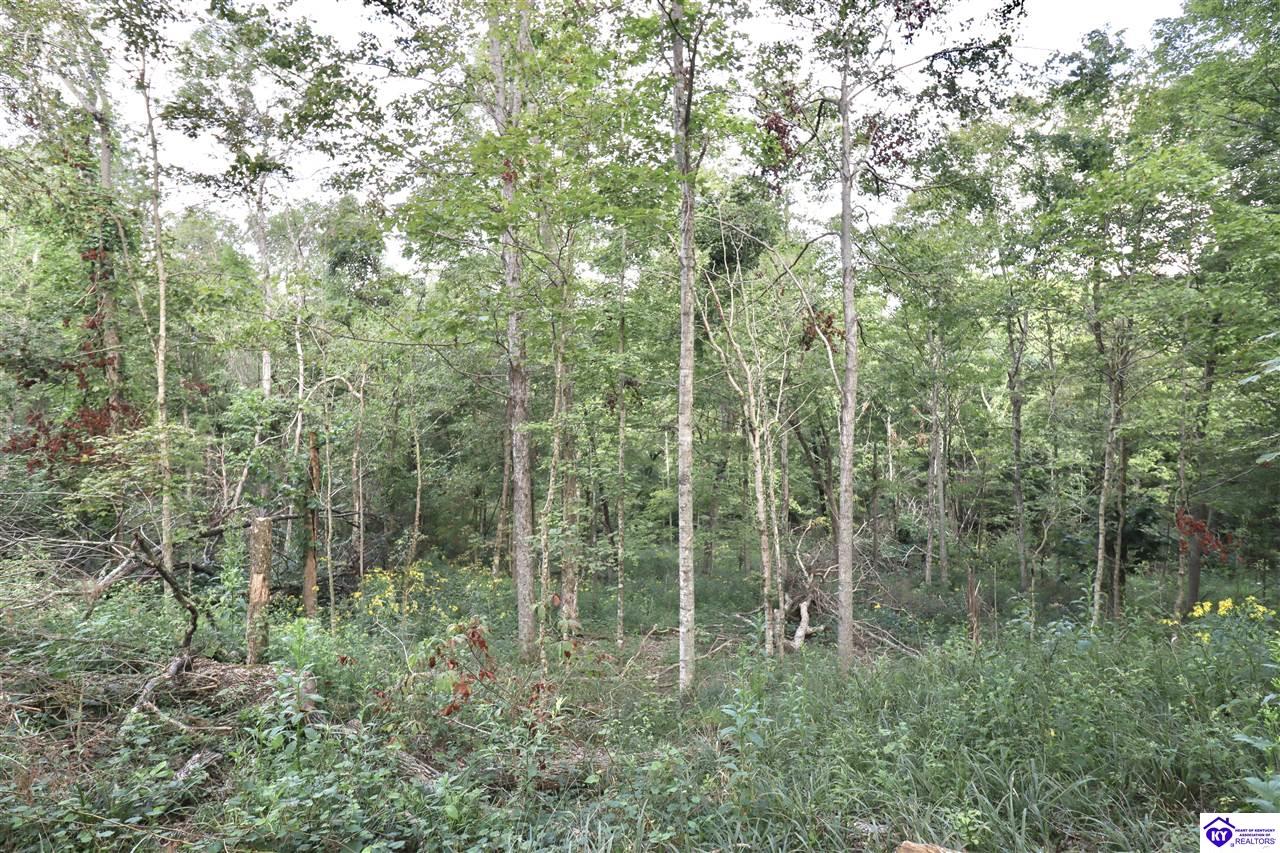 635 Blossom Ridge Dr Property Photo 83
