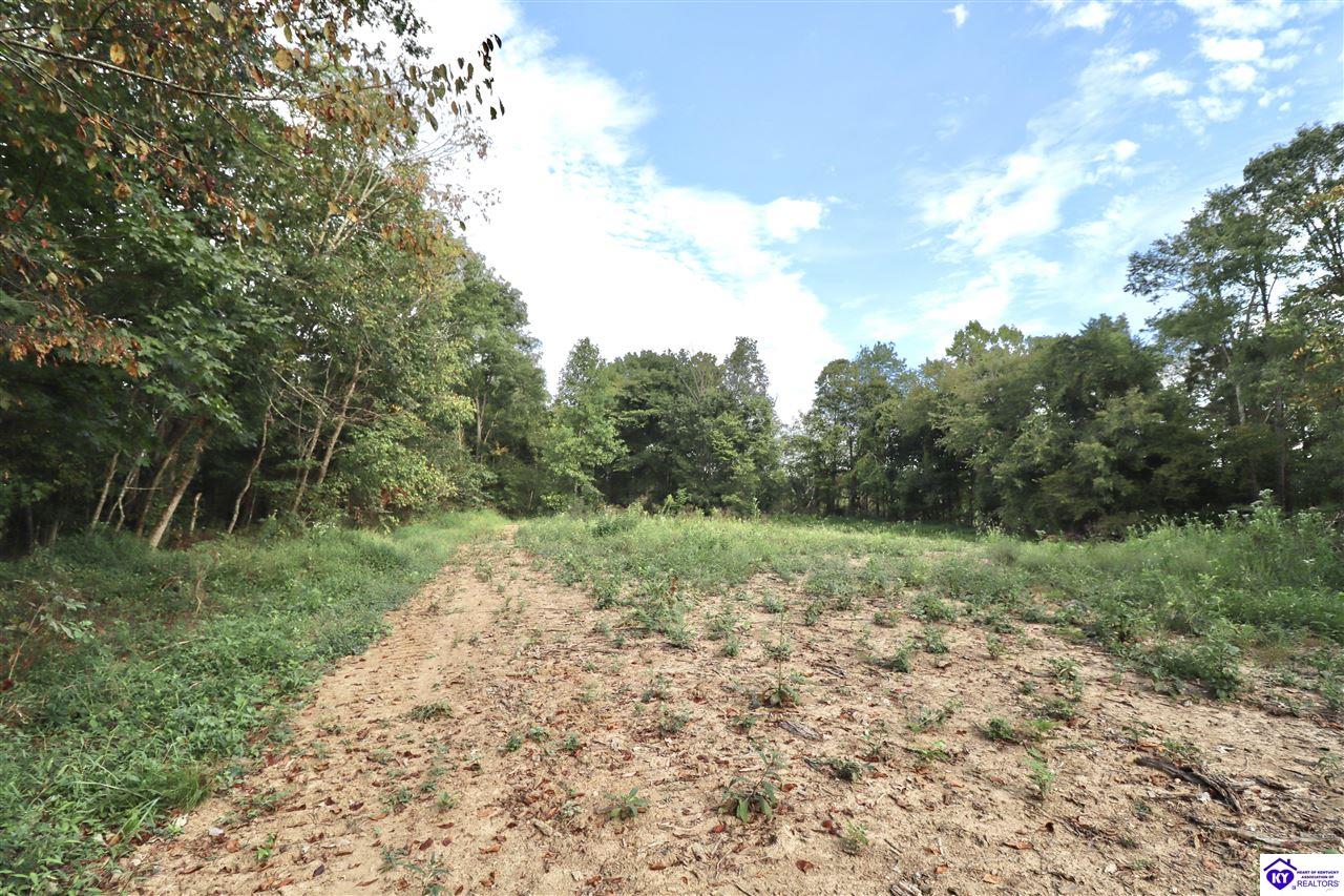 635 Blossom Ridge Dr Property Photo 84