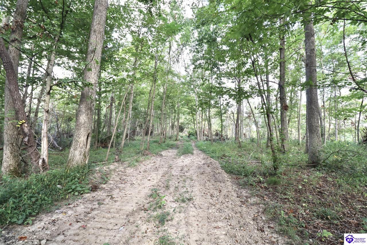 635 Blossom Ridge Dr Property Photo 85