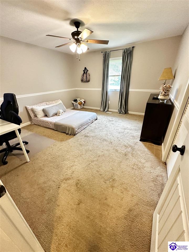 353 Spring Meadow Drive Property Photo 32