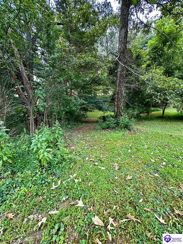 353 Spring Meadow Drive Property Photo 55