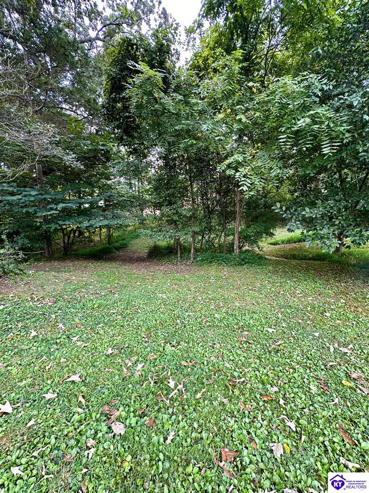 353 Spring Meadow Drive Property Photo 56