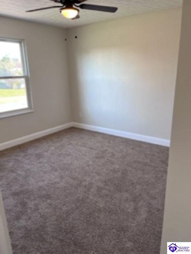 156 Boone Trace Property Photo 13