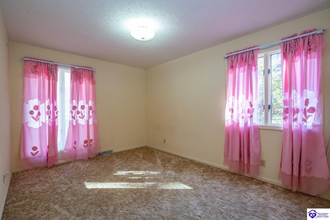 1213 N Logsdon Parkway Property Photo 51