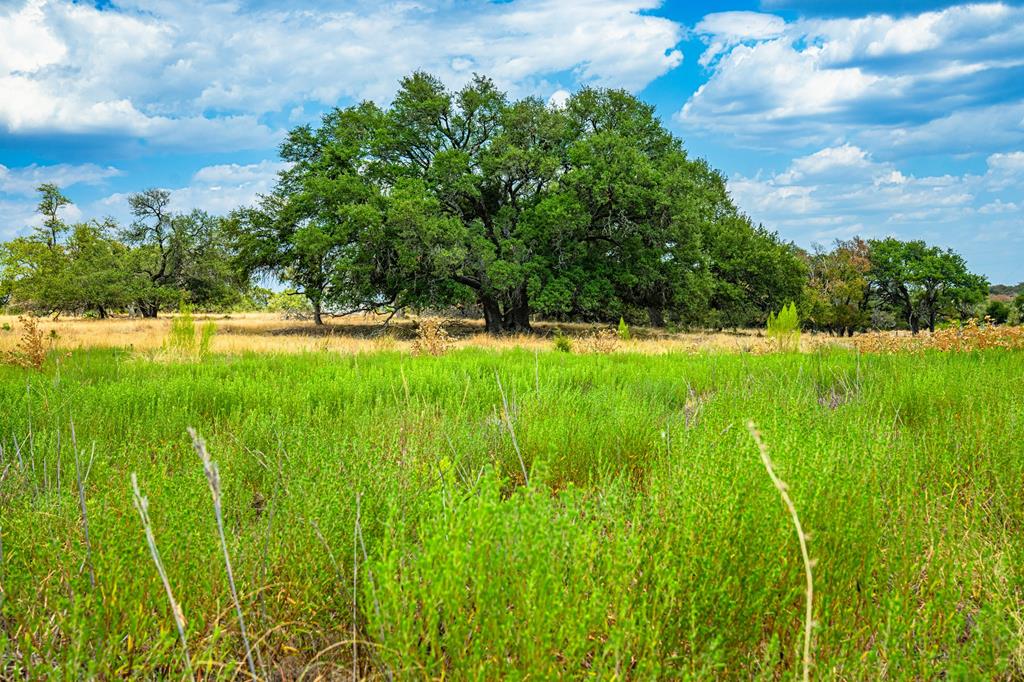 Lot 7 - N Grape Creek Rd. Property Photo 1