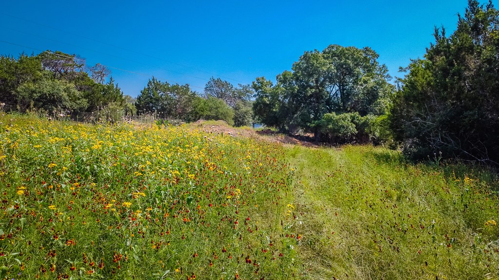 17839 N State Hwy 16 Property Photo 8