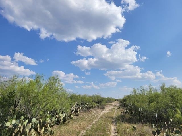 000 Sal Si Puedes Property Photo