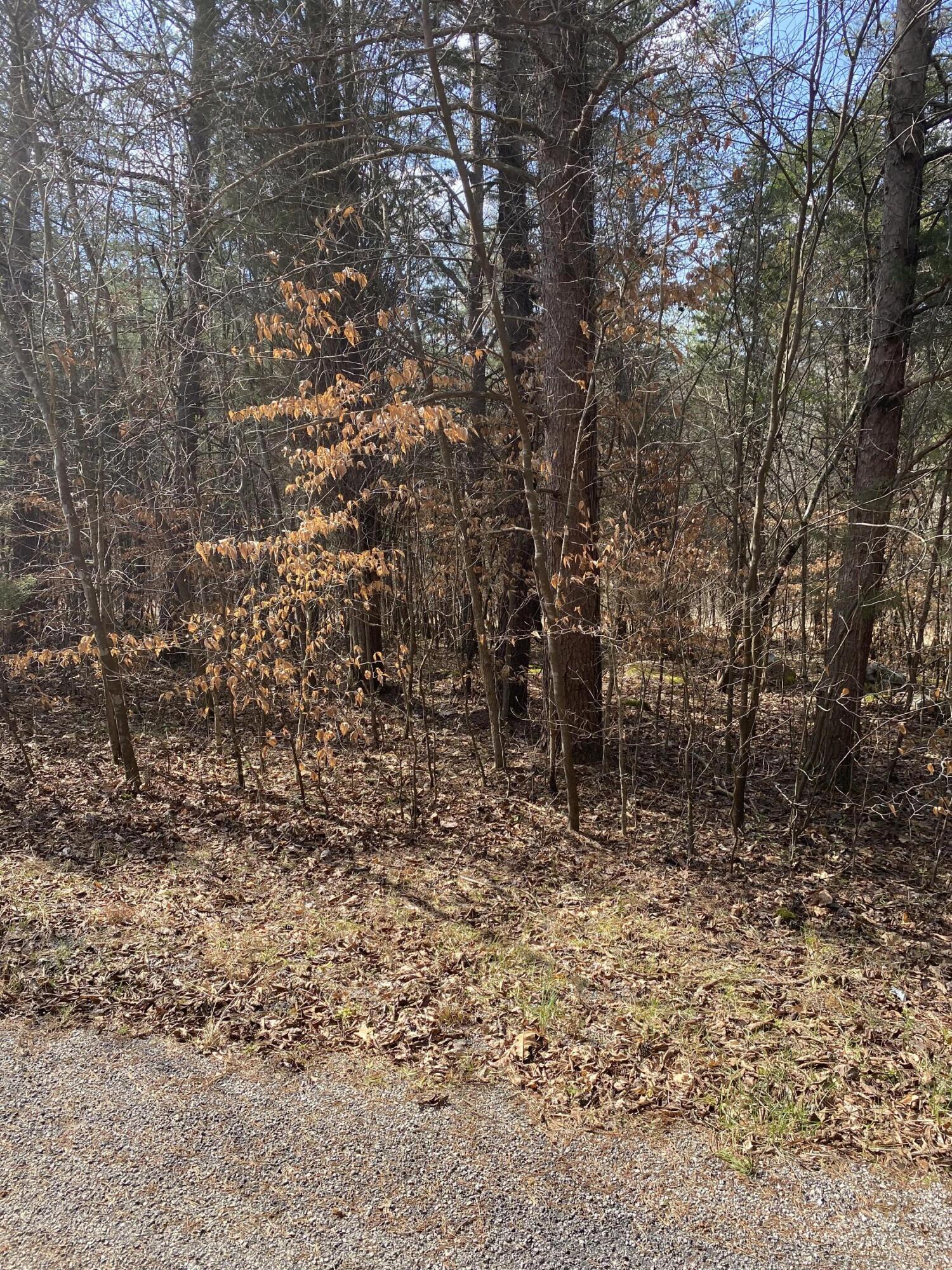 Lot 20 North Fork Road Property Photo