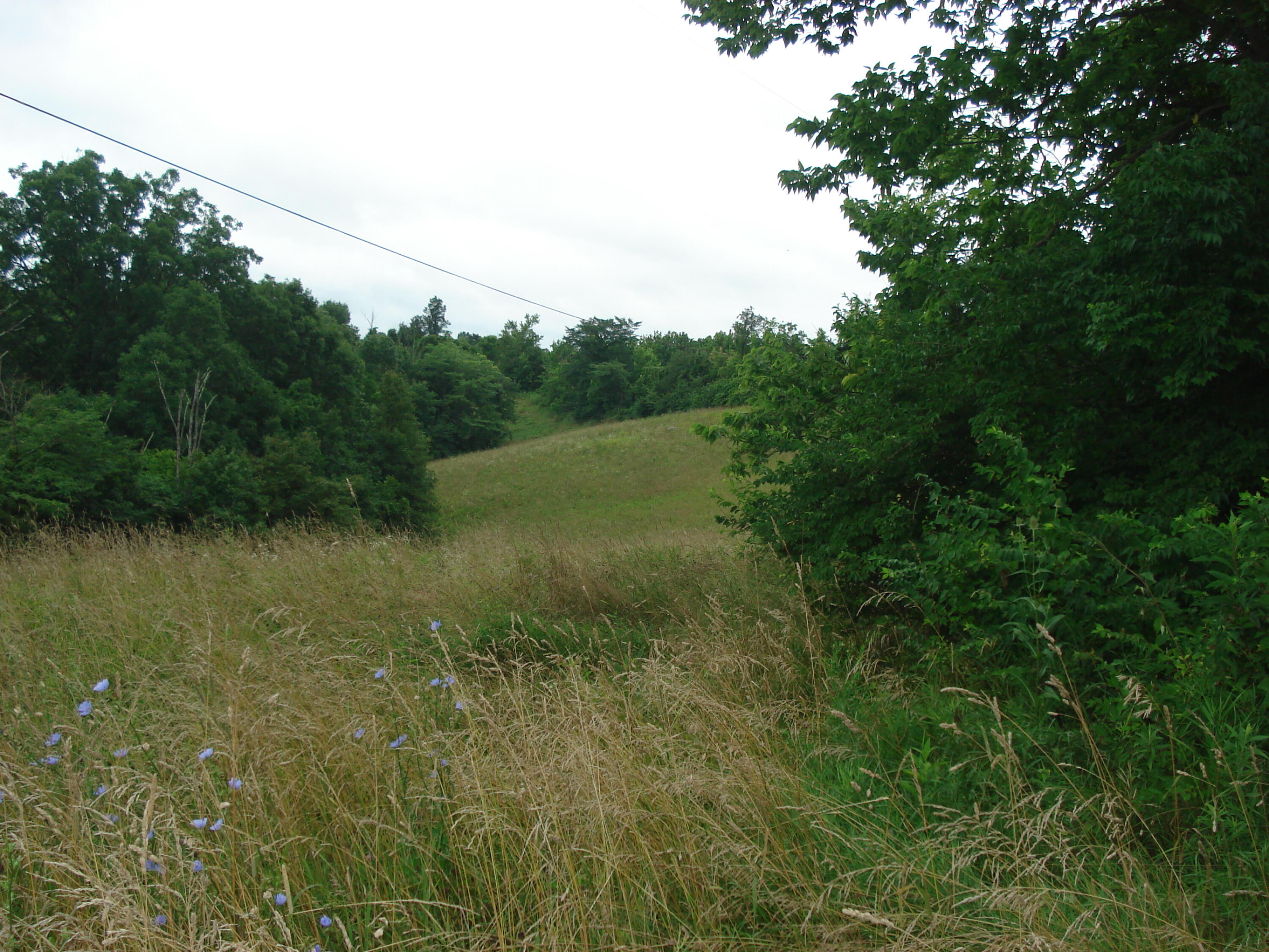 999 Tract Ky Hwy 3004 Property Photo 1