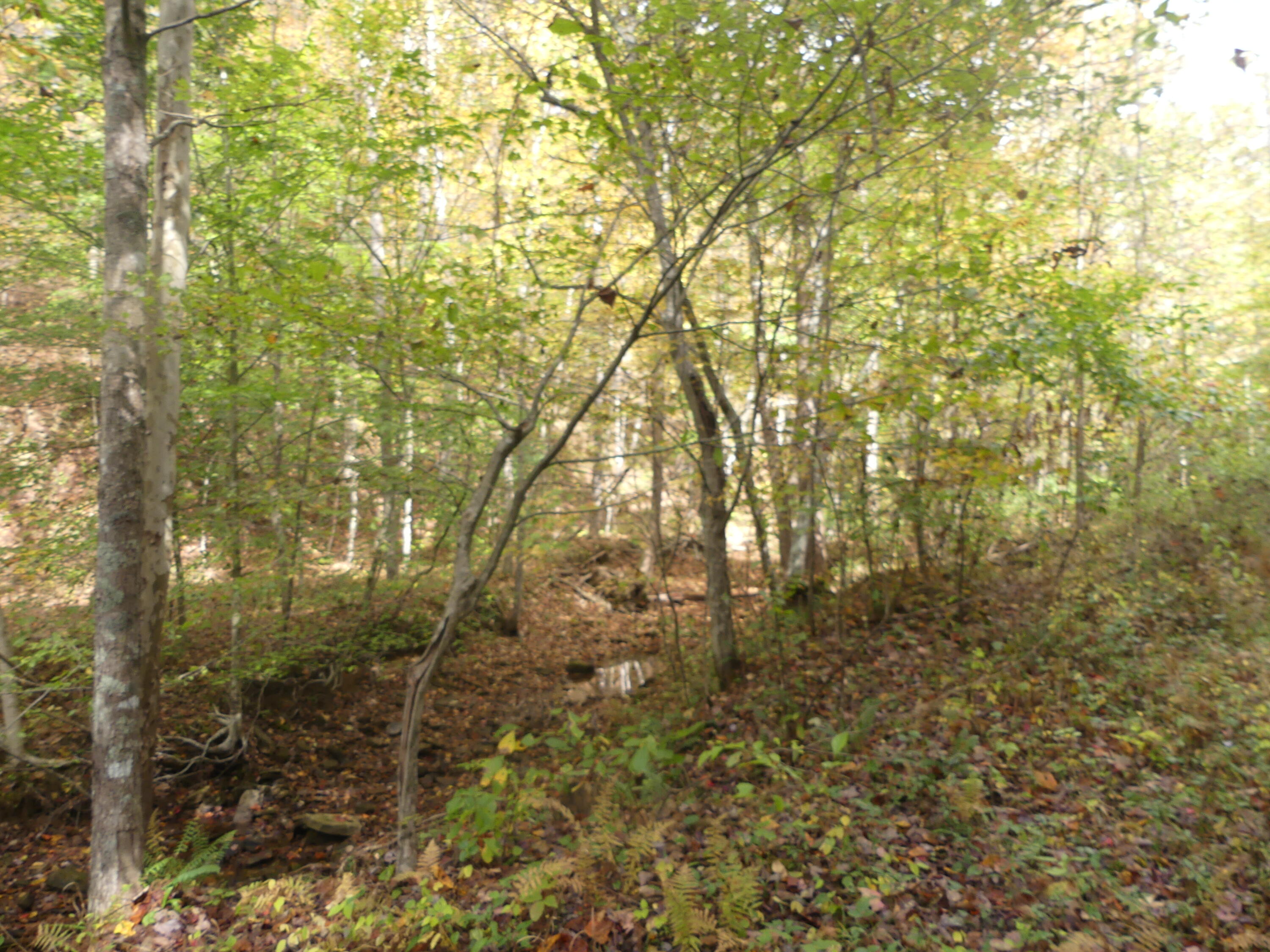 0 Upper Old House Creek Rd Road Property Photo