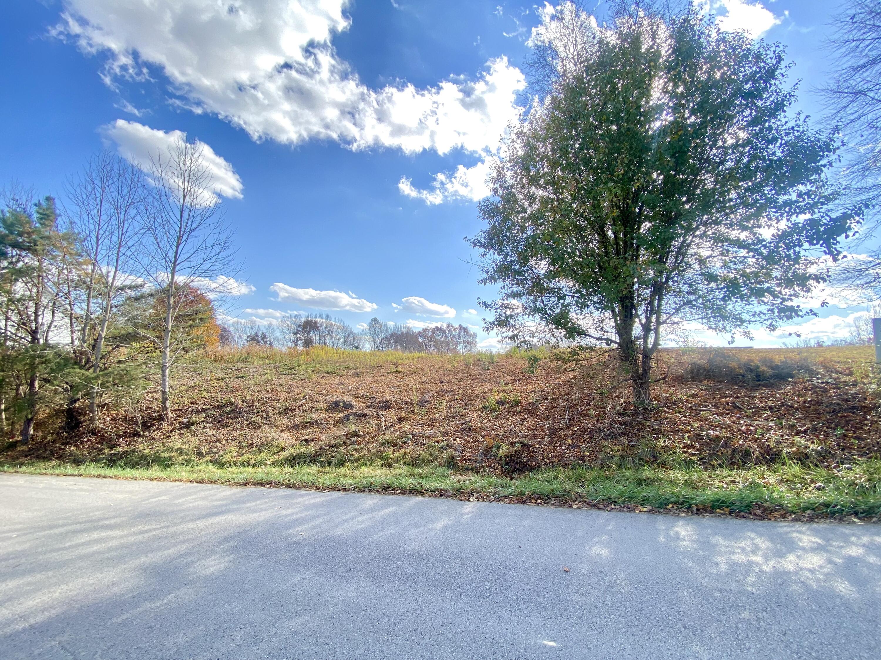 Lot 64 Golden Pond Road Property Photo