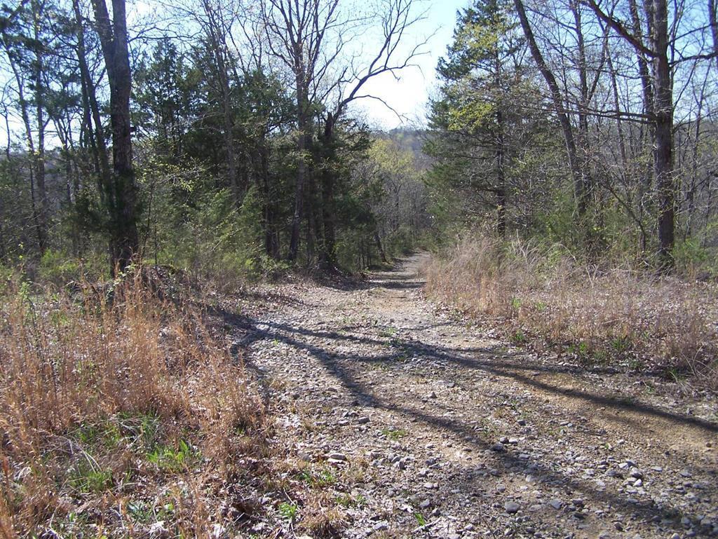 0000 Robert Ridge Road Property Photo