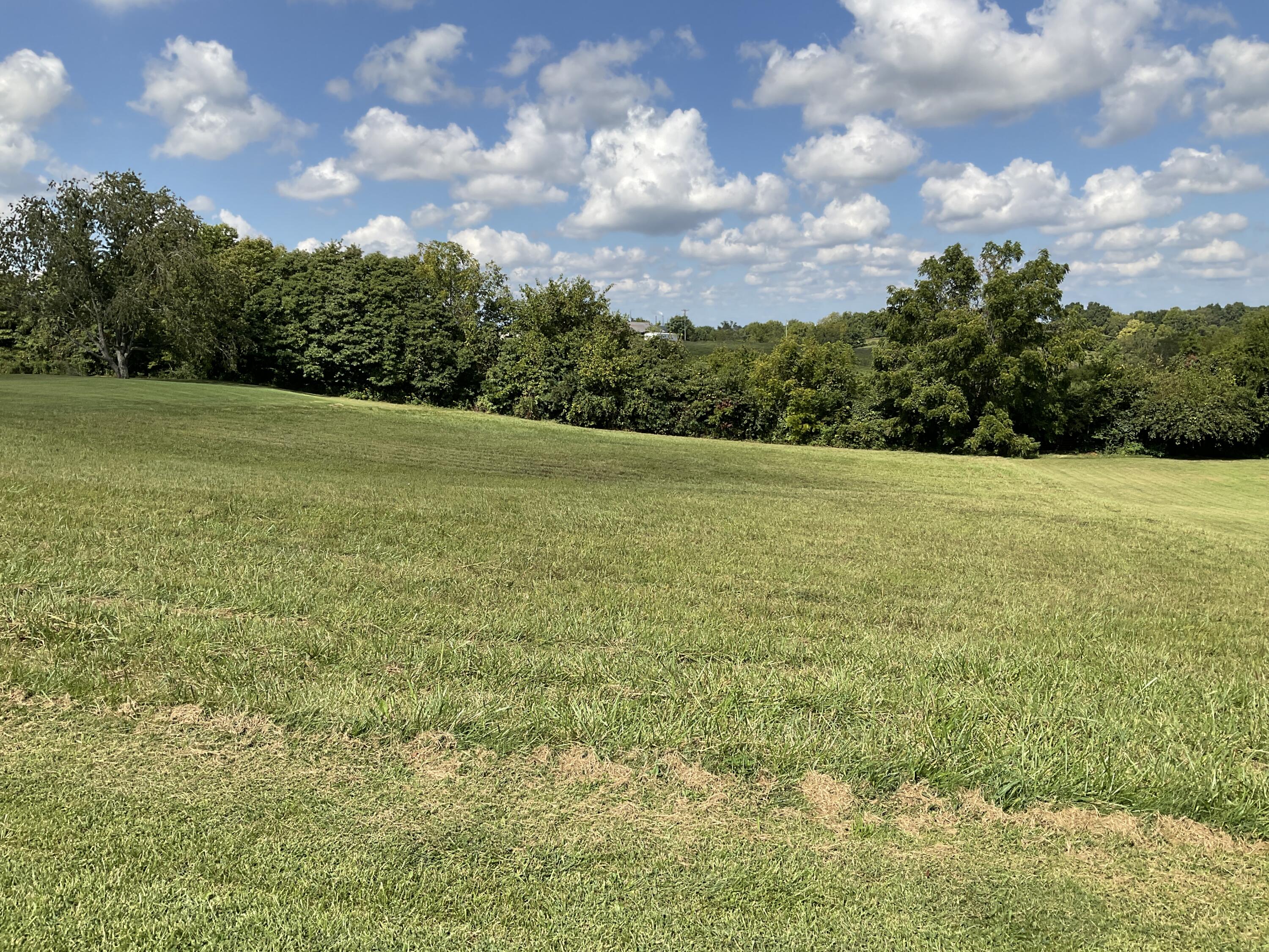 167 Palisades Pointe Drive Property Photo 1
