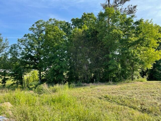 9999 Sterlyn Drive Property Photo 1