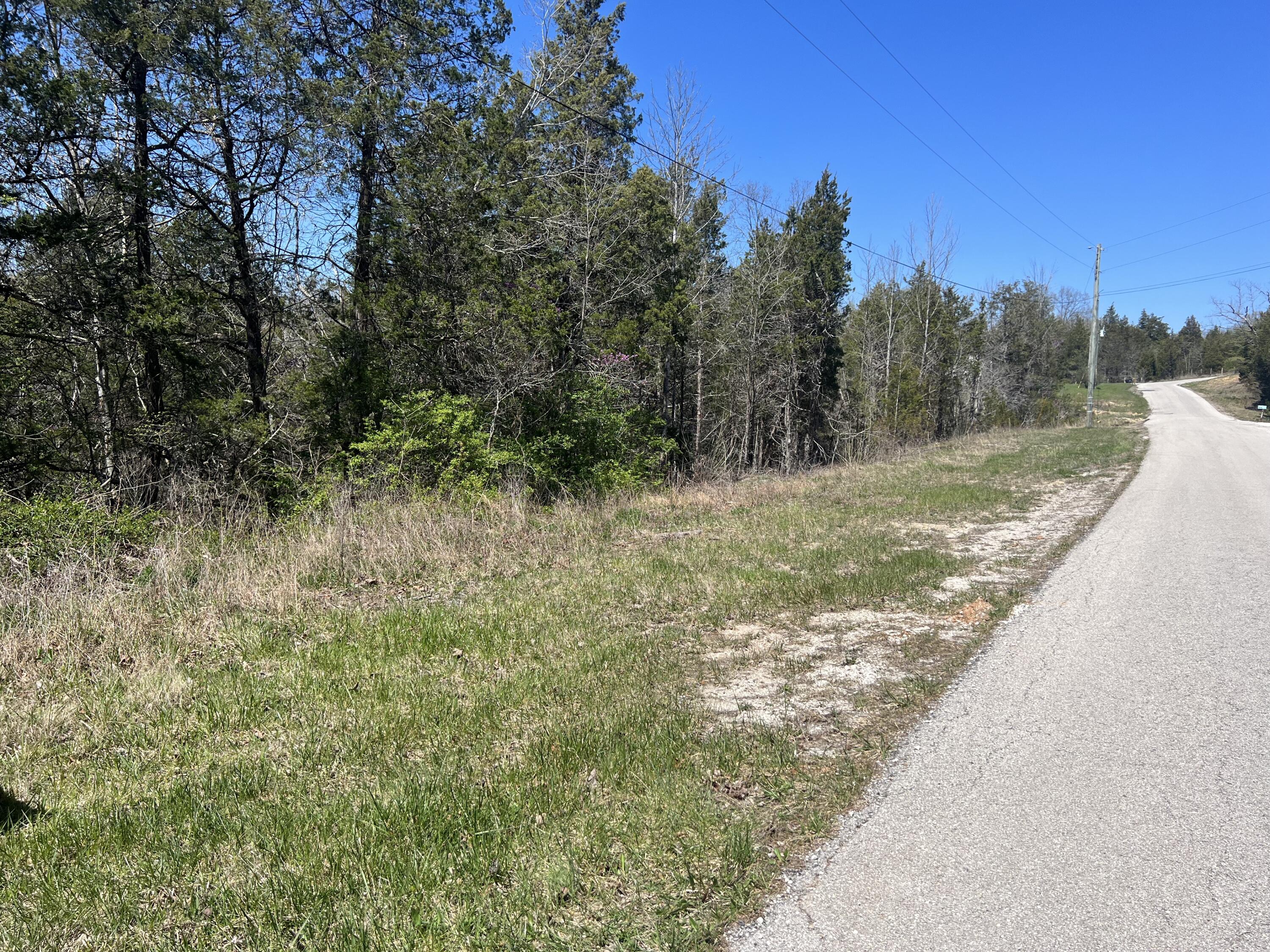 0 Gravel Lick Branch Property Photo