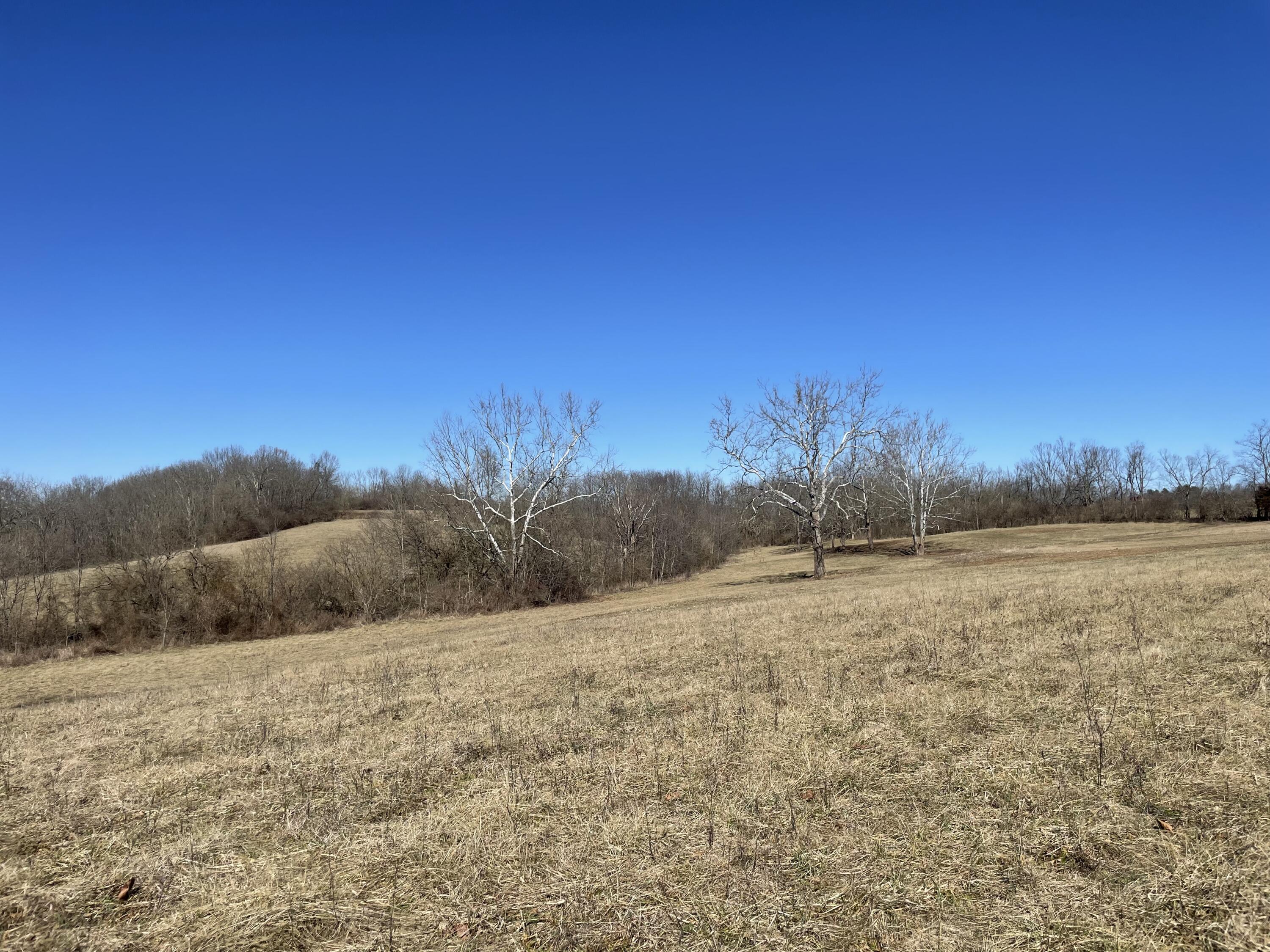 43.022 +/- Acres Millersburg Bypass Property Photo