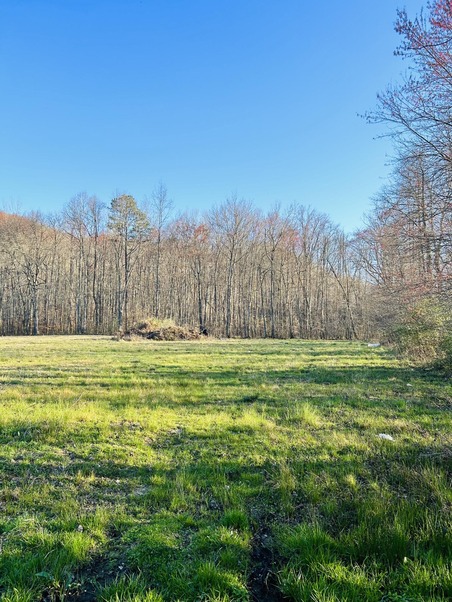 2453 Mcneil Corn Creek Road Property Photo 1