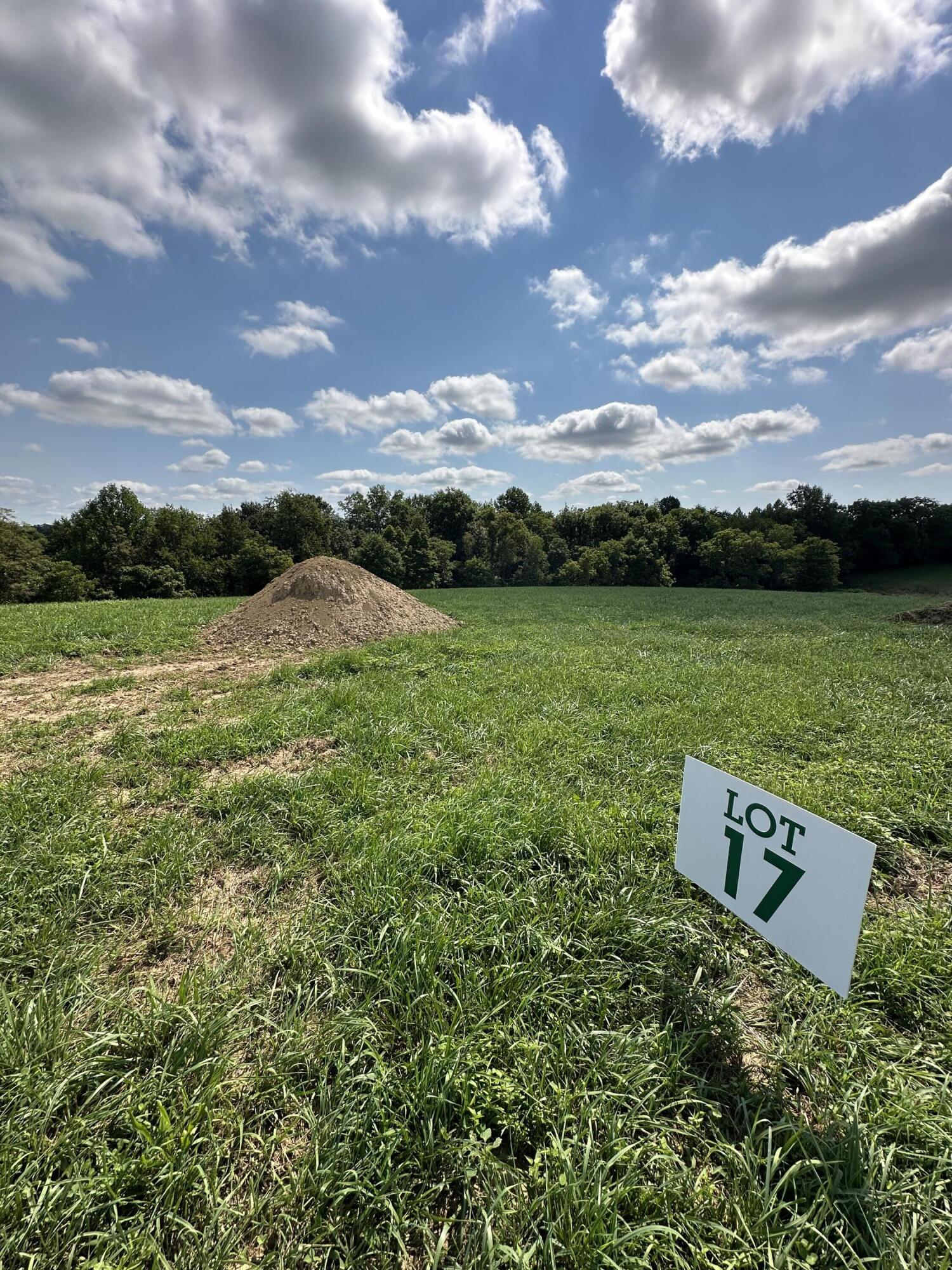 247 Rilda Ridge Lot #17 Road Property Photo 3