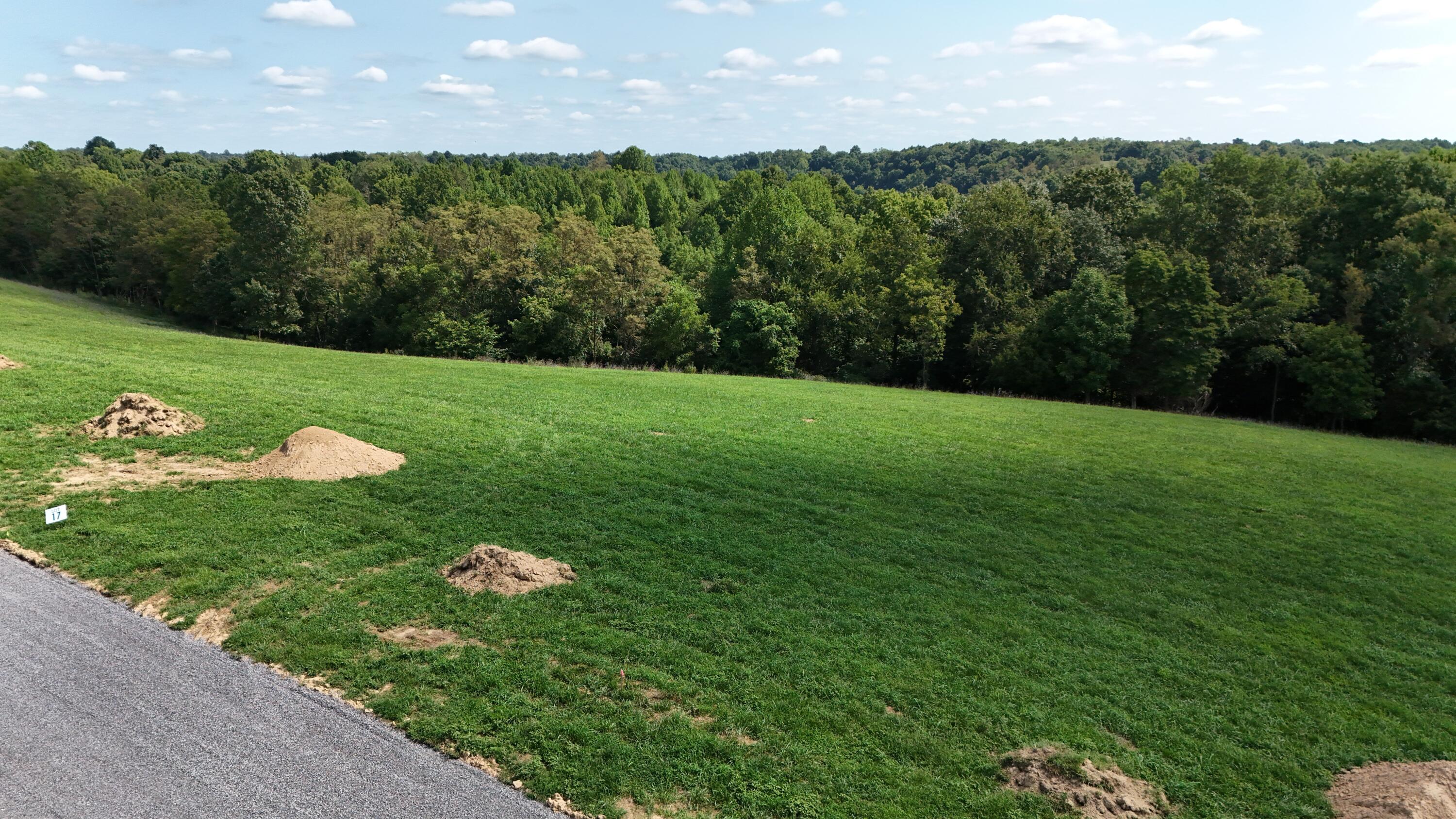 247 Rilda Ridge Lot #17 Road Property Photo 4