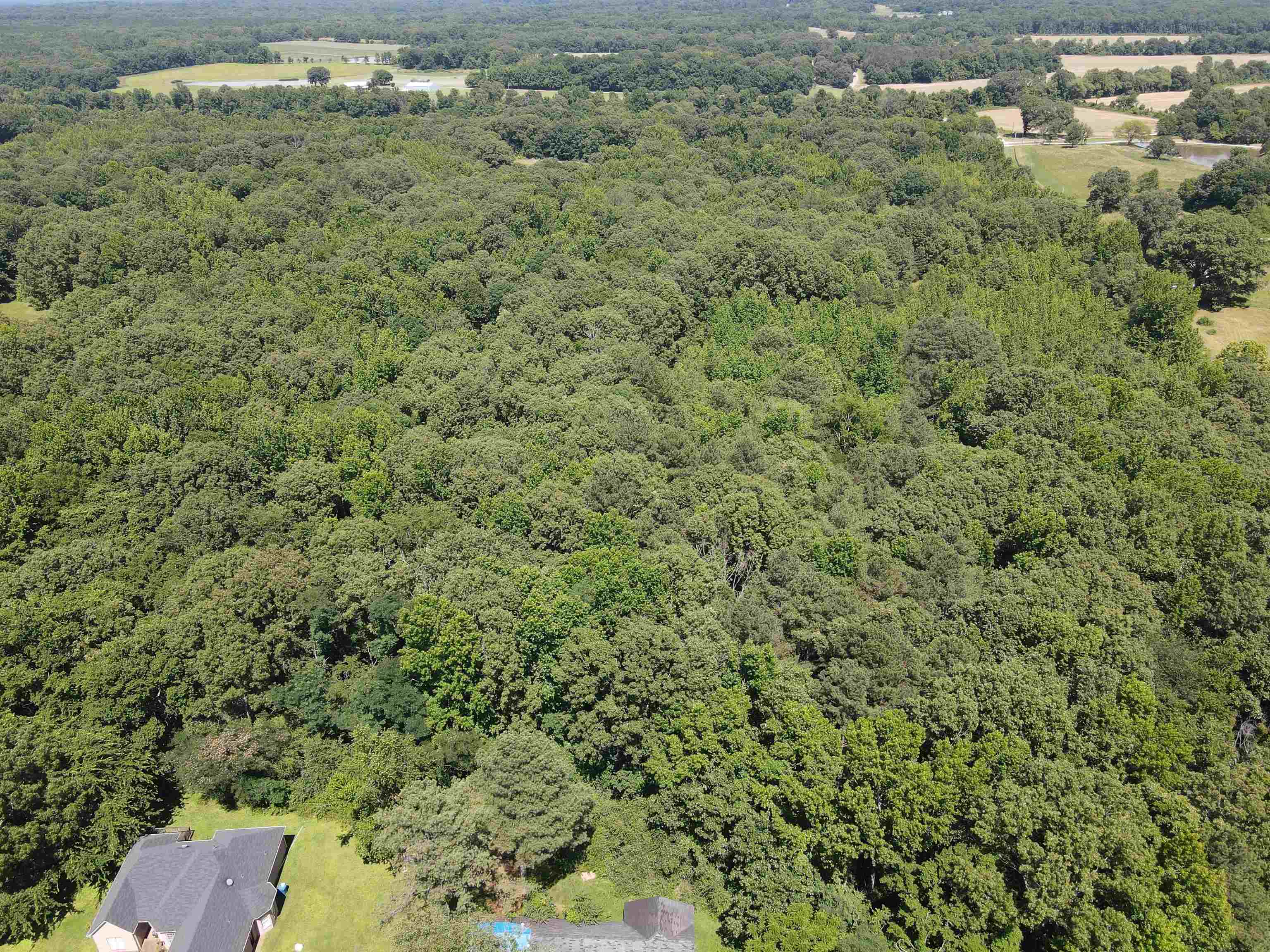 2730 Price Rd Property Photo 1