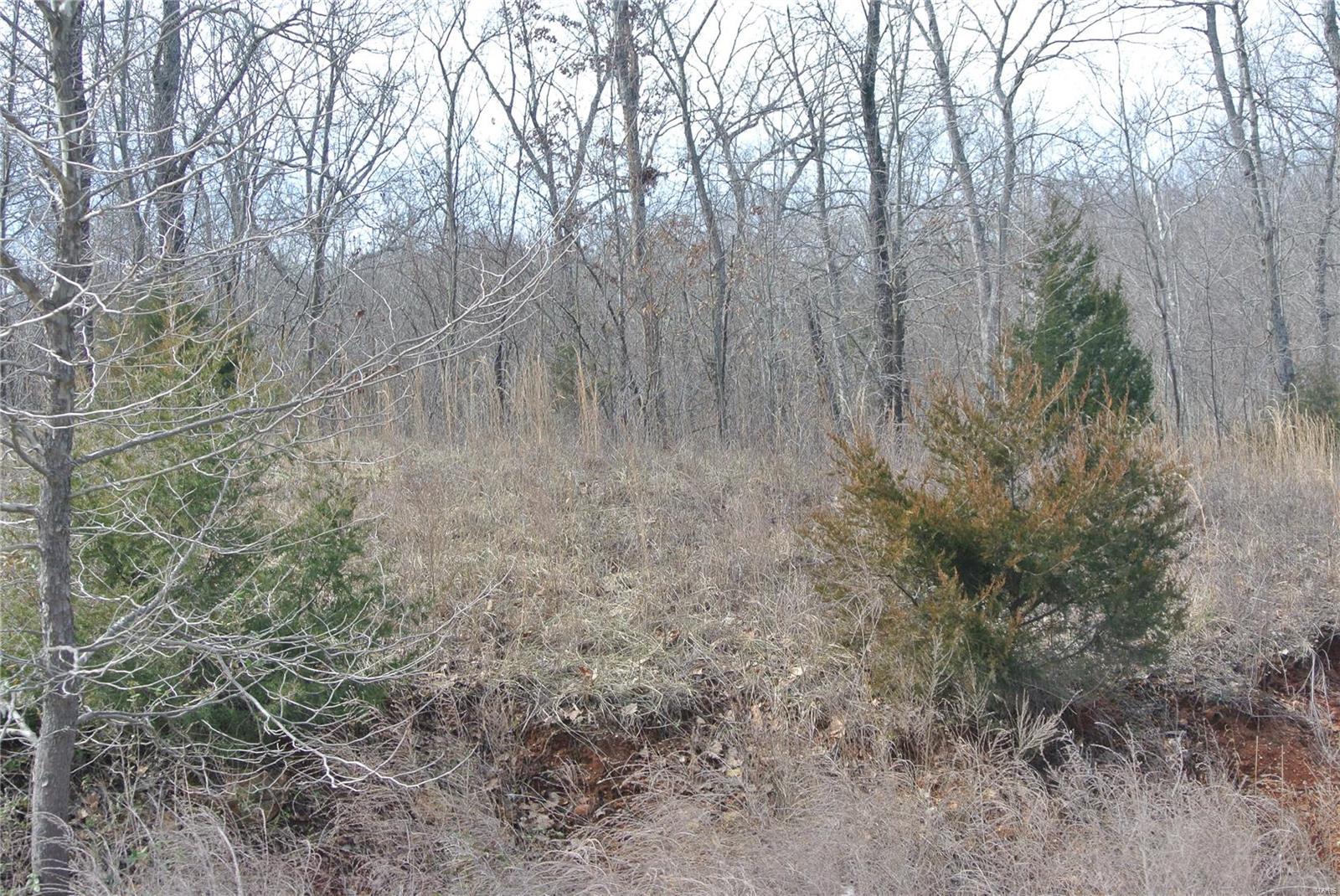 0 lot 1 Tyler Branch Road Property Photo 1