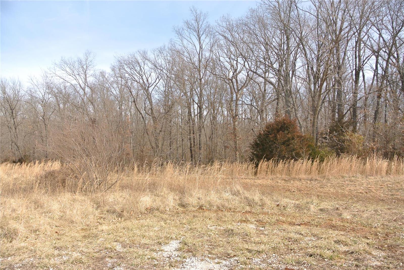 0 lot 34 Woods View Lane Property Photo 1