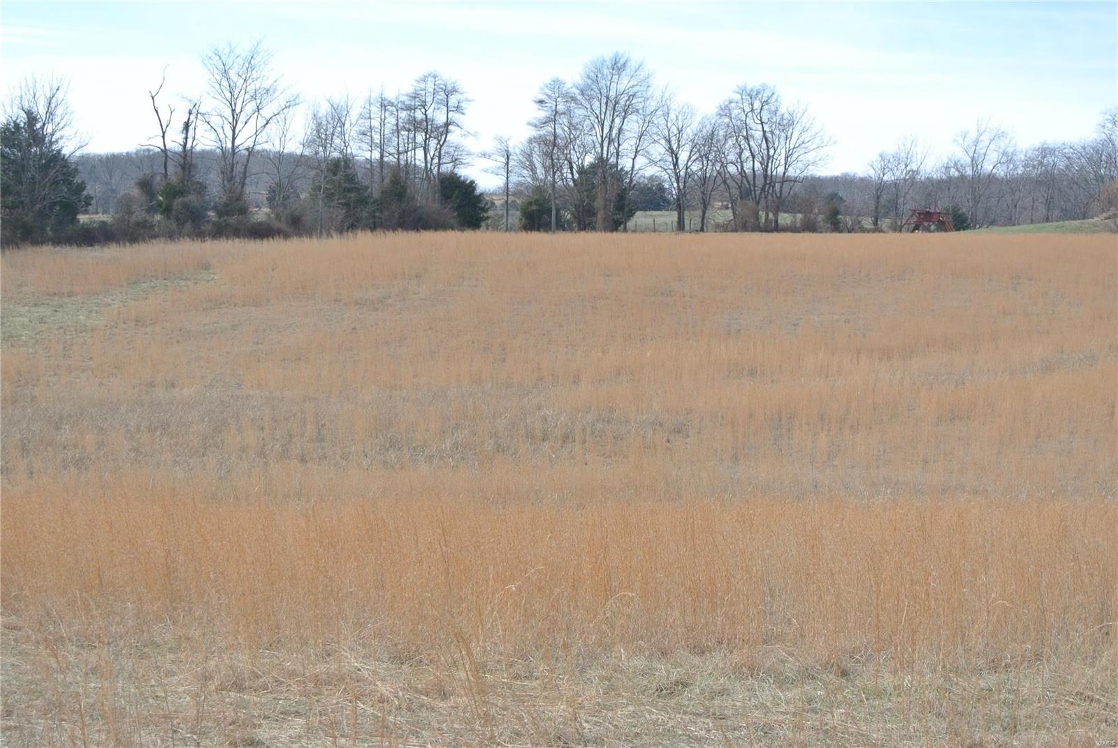 0 lot 20 Oak Forest Drive Property Photo 1