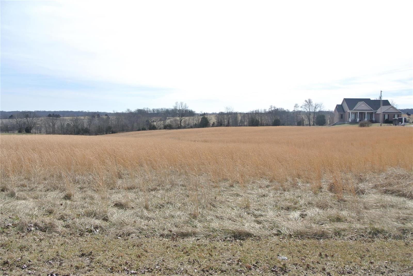 0 lot 16 Tyler Branch Road Property Photo 1