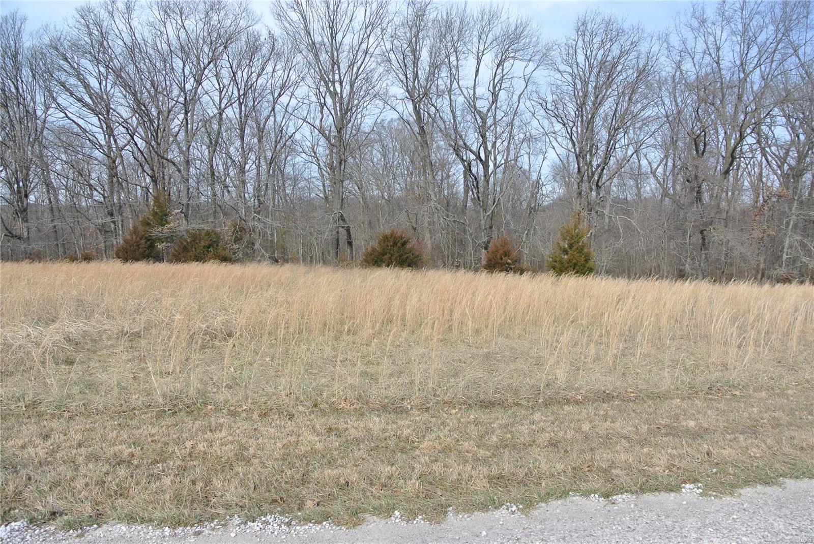0 lot 30 Tyler Branch Road Property Photo 1
