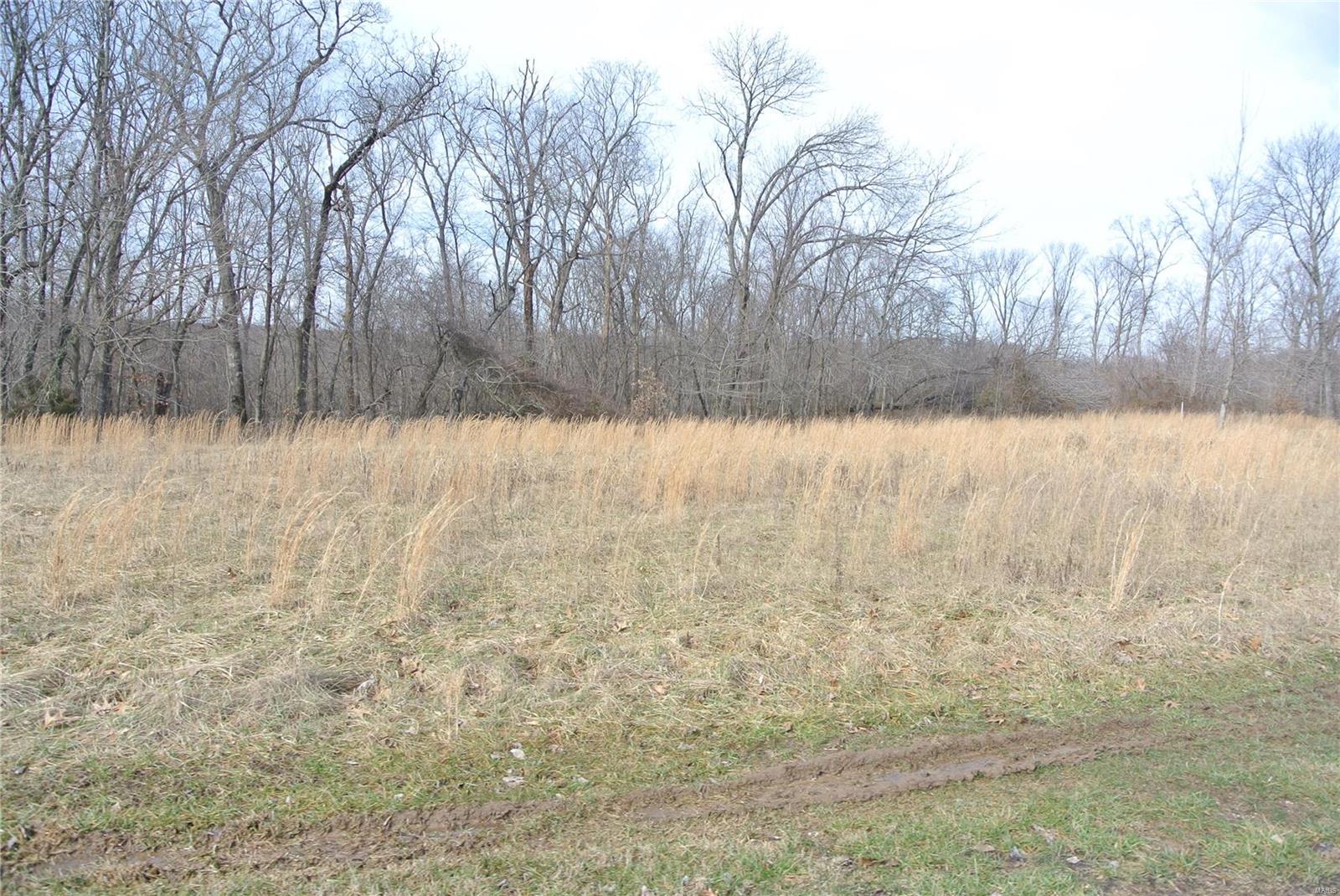 0 lot 29 Tyler Branch Road Property Photo 1