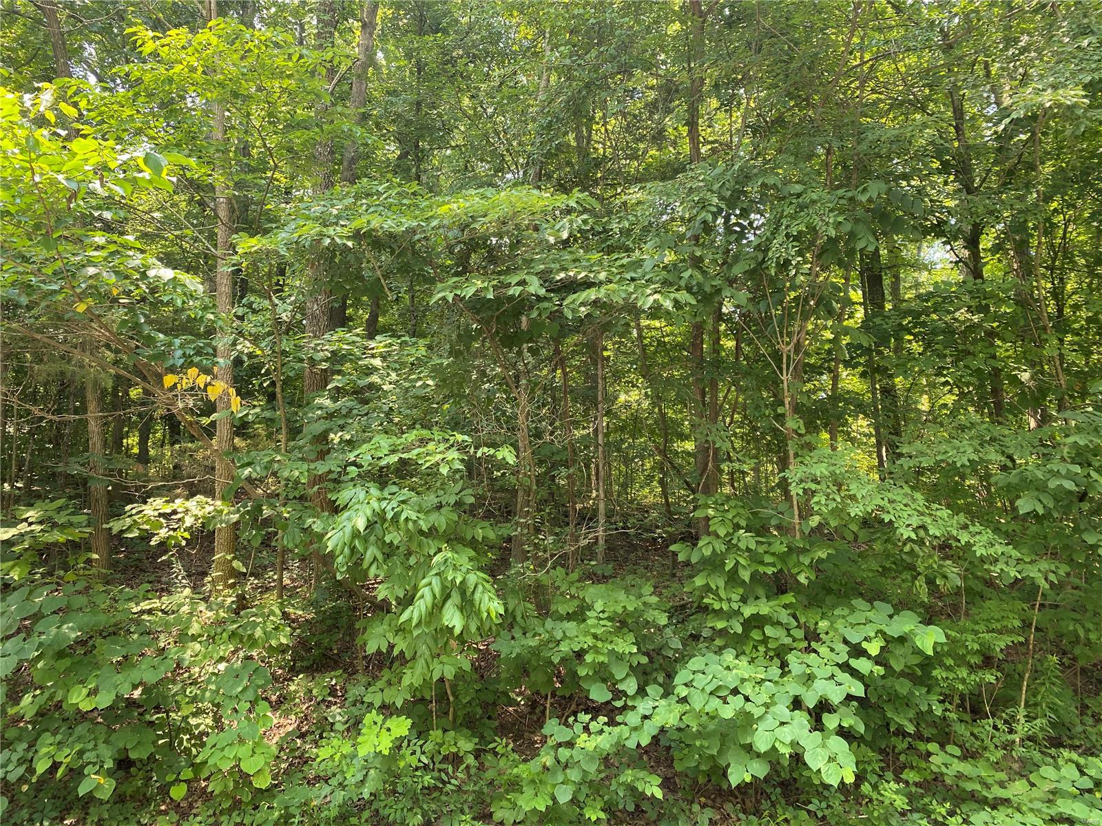 0 128/sec 10 East Vista Property Photo