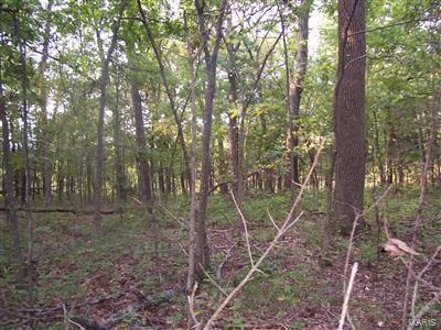 0 W Outer Road Property Photo 1