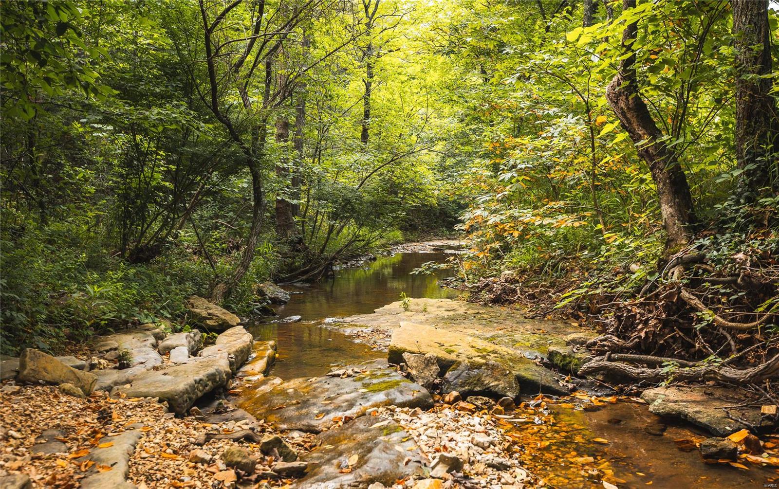 0 State Highway 265 Property Photo 18
