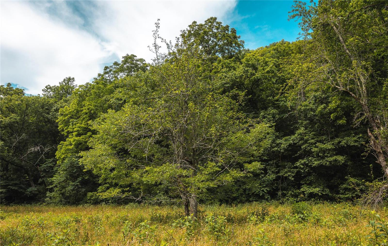 0 State Highway 265 Property Photo 24