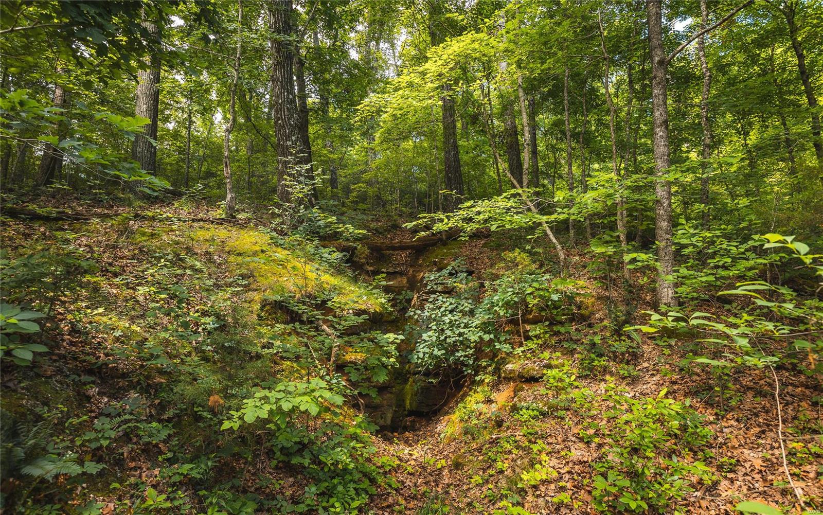 0 State Highway 265 Property Photo 25