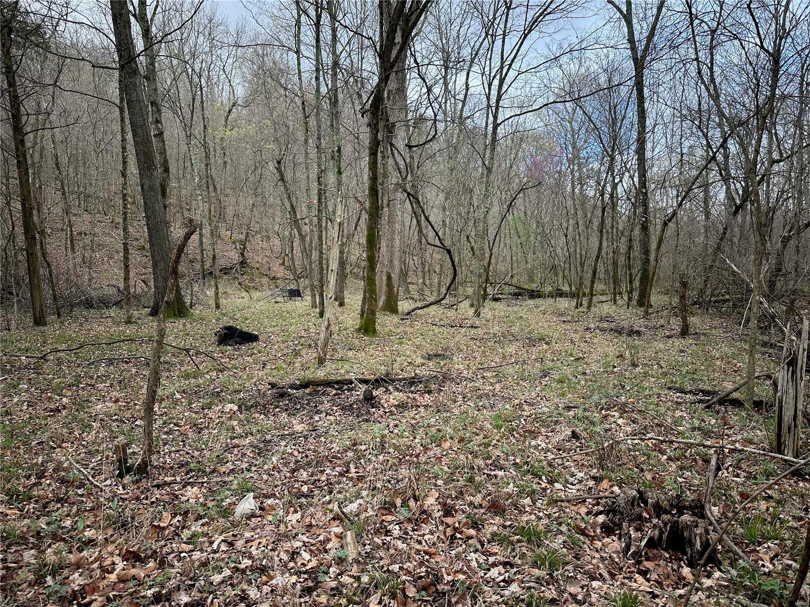 14635 State Route 21 Property Photo