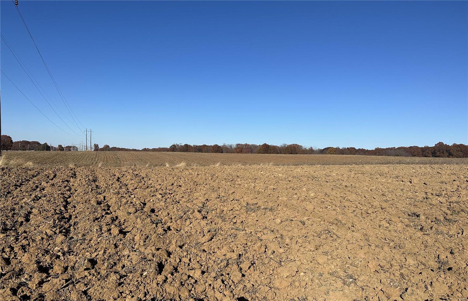42 +/- Acres Snyder Road Property Photo