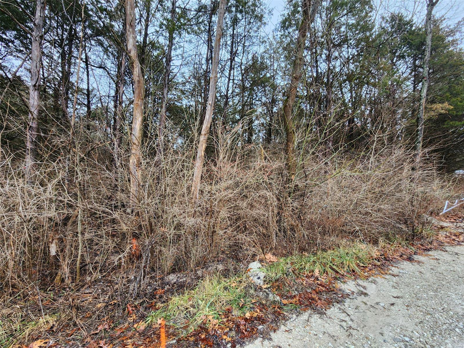 3638 Wayside Drive Property Photo 3