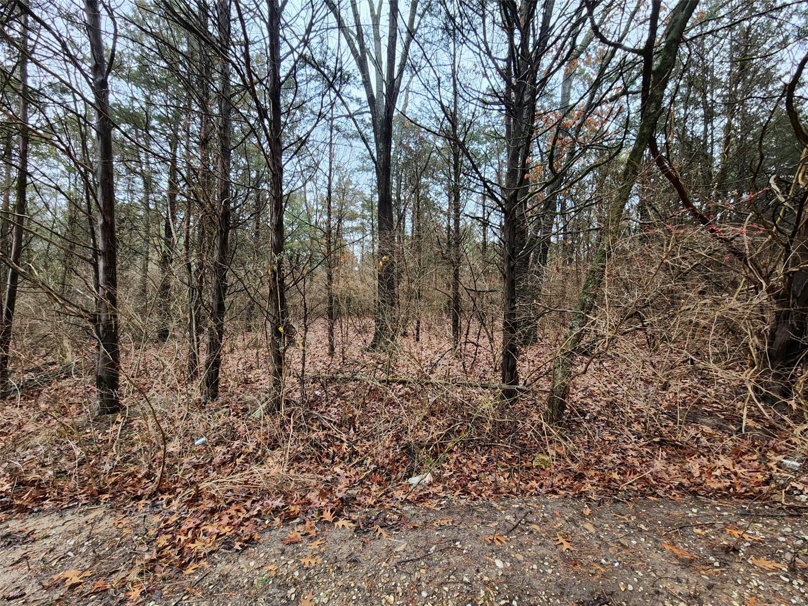 3638 Wayside Drive Property Photo 4