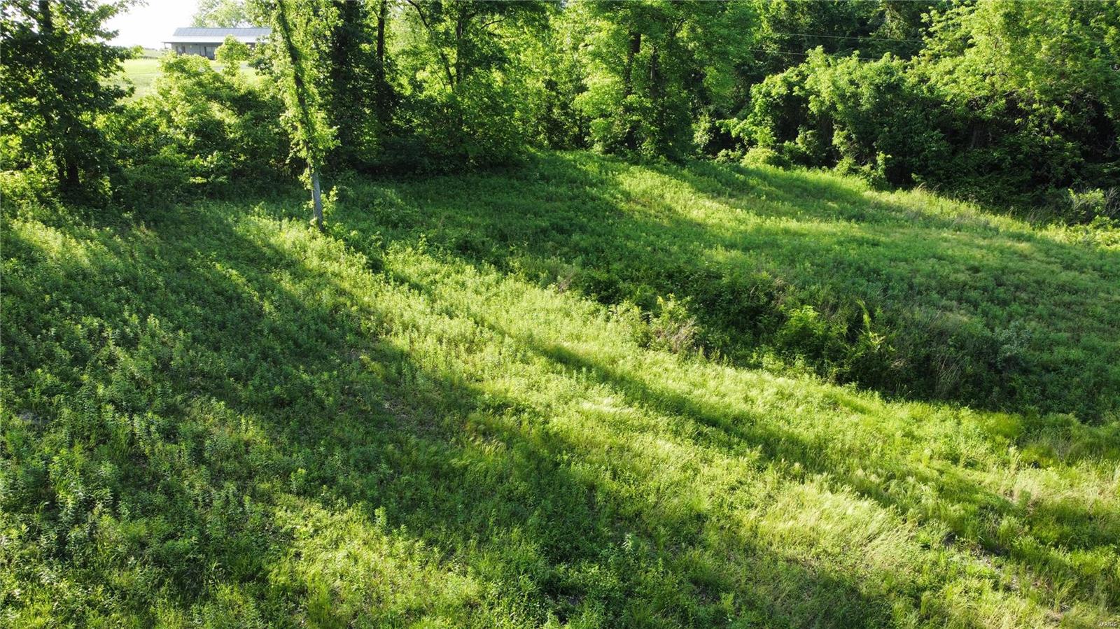 0 Us Highway 61 Property Photo 2
